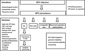 Some types of hpv infection cause warts, and some can cause different types of cancer. Human Papilloma Virus Hpv Infection In Children And Adolescents Springerlink