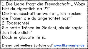 1 Die Liebe Fragt Die Freundschaft Wozu Bist Du Eigentlich Da Die Freundschaft Antwortet Ich Trockne Die Tr Tolle Spruche Und Zitate Auf Www Likemonster De