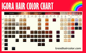48 Elegant The Best Of Igora Royal Hair Color Chart Home
