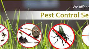 Pest Control Rudrapur - Residential,Commercial,Industrial Services ...