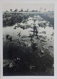 Overcome party dictatorship now, a deforestation protest, involved sweeping the forest floor and painting white crosses and rings on all trees slated to be felled (fig. Fondazione Bonotto Beuys Joseph Swam Action