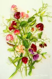 Shop target laredo store for furniture, electronics, clothing, groceries, home goods and more at prices you will love. Don T These Ribbon Embroidered Sweet Peas Look Like They Were Just Picke Silk Ribbon Embroidery Tutorial Silk Ribbon Embroidery Silk Ribbon Embroidery Patterns