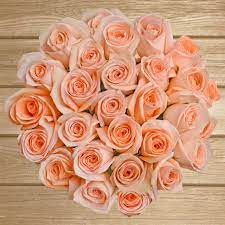 Flirty fleurs peach rose color study, versilia, campanella, cinnamon, juliet, tiffany, finesse, peach avalanche. Peach Roses Ebloomsdirect Eblooms Farm Direct Inc