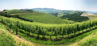Grinzane cavour borders the municipalities of alba and diano d'alba. Dalla Vigna Storica Di Grinzane Cavour Un Barolo Di Grande Valore Consorzio Di Tutela Barolo Barbaresco Alba Langhe E Dogliani