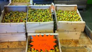 Compote de mirabelles c'est sur ptitche. Le Fruit D Or Se Vend A Bas Prix A Villecey Sur Mad