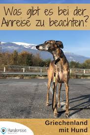 Urlaub Mit Hund In Griechenland Die Anreise Hundereise Urlaub Mit Hund Hund Reisen Hundchen Training