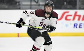 We did not find results for: Shattuck St Mary S Hockey News New England Hockey Journal