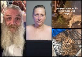 UK Animal Cruelty Files