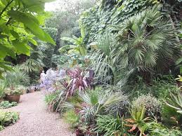 Pin On Will Giles Exotic Garden England