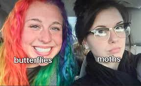 Let's welcome our new members: Gillian Watson, Calum Murray, Maxine A Wells  🦋🦋🦋