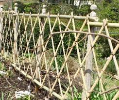 Monrovia says to plant bamboo in containers as they are creepers and will take over. Make Your Own Bamboo Garden Structures Triangle Gardener Magazine