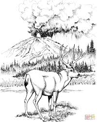 People who are suffering from depression, anxiety and even post traumatic stress disorder. Mule Deer Coloring Page Free Printable Coloring Pages Coloring Home