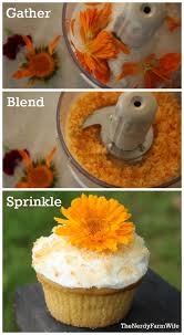 Then, you will be able to admittedly, making sugar flowers for a celebration cake takes time and work. Naturally Colored Decorating Sugar Using Edible Flowers