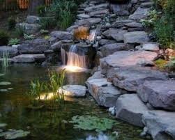pin op bassins d eau