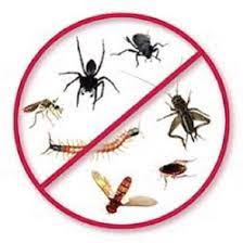 Rentokil singapore is probably one of the oldest pest control companies in singapore. Pest Control Market By Top Manufacturers Rentokil Initial