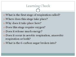 We did not find results for: Respiration Respiration Is The Release Of Energy From