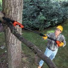 There Is Nothing Better Than Pruning A Tree Without A Ladder I Love My New Tree Pole Saw Polesaw Chainsaw Pole Saw Pole Chain Saw Electricity