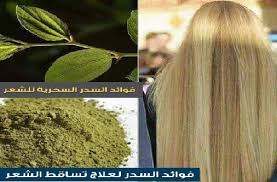 وصفة مطحون ورق السدر لفرد الشعر وتطويله وتنعيمه Trade Forex