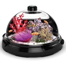 The Tabletop Saltwater Aquarium Hammacher Schlemmer Saltwater Aquarium Cool Fish Tanks Fish