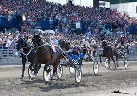 Will cokstile win this year again? Elitloppet 2014 Wikipedia