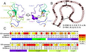Engineering Of A Human Kringle Domain Into Agonistic And Antagonistic Binding Proteins Functioning In Vitro And In Vivo Pnas