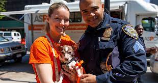 Addressing And Preventing Animal Cruelty In Nyc | New York City | Aspca