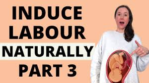 نتیجه جستجوی لغت [induce] در گوگل