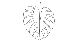 Maybe you would like to learn more about one of these? Leaf Of Monstera Plant Self Stock Footage Video 100 Royalty Free 1044337525 Shutterstock