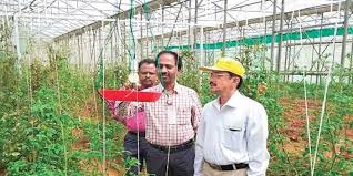 We did not find results for: Iihr Develops Light Trap Suction Method To Get Rid Of Tomato Pest The New Indian Express