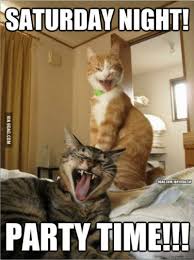How my saturday night is going: 101 Funny Saturday Memes Will Make You Laugh From Morning Till Night Funny Saturday Memes Good Morning Cat Saturday Memes