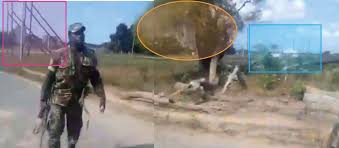 Mozambique Une Video Montrant L Homicide D Une Femme Nue Est Une Preuve Supplementaire Des Violations Des Droits Humains Commises Par L Armee Amnesty International Une femme russe d'une nature gentille et honnête. femme nue