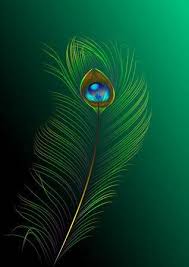 Maybe you would like to learn more about one of these? Peacock Feather Illustration 123rf Com Feather Illustration Peacock Feather Art Feather Wallpaper