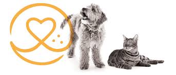 Founded as the national association of real estate exchanges in 1908. Naphia Announces Pet Insurance Market Reaches 1 42b In North America Naphia