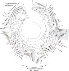 Previously, the health agency listed potential exposure sites such as retail shops, malls, grocery stores, restaurants, bars and fitness centres. The Abc Gene Family In Arthropods Comparative Genomics And Role In Insecticide Transport And Resistance Sciencedirect