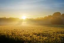 Welcome to the tussenhausen google satellite map! Deutschland Bayern Schwaben Tussenhausen Getreidefeld Und Morgennebel Bei Sonnenaufgang Naturpark Augsburger Westwald Stockfoto