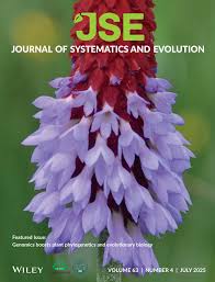 Image result for Trichoneura schlechteri