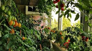 Balcony Container Vegetable Gardening Guide Balcony Decoration Eco Friendly Garden Ideas