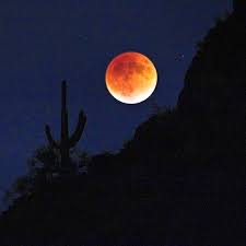 instagram photo by u s department of the interior jul 20 2016 at 11 51pm utc night sky moon night skies stargazing pinterest
