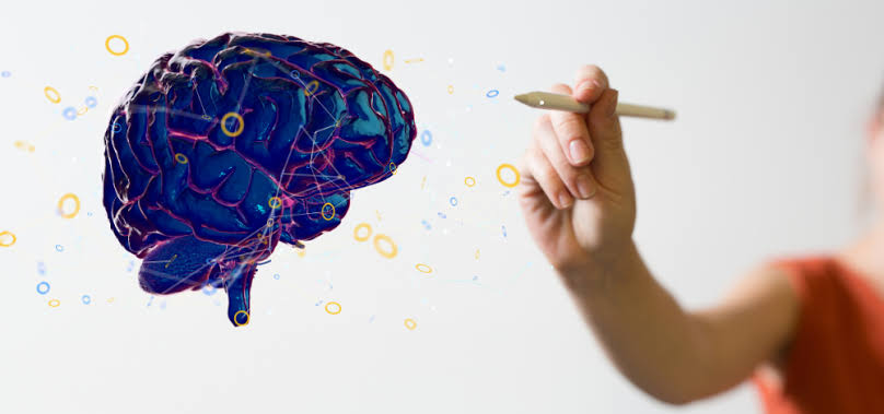 L'émergence de la neuroéducation - Figaro Etudiant Pro