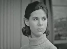 Detective" A Connoisseur's Case (TV Episode 1964)