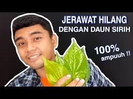 Check spelling or type a new query. Cara Menghilangkan Jerawat Pakai Daun Sirih 100 Ampuh Eza Moe Youtube