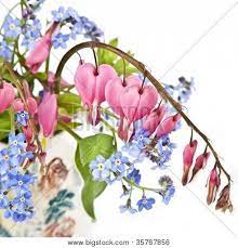 A Bouquet Of Bleeding Hearts And Forget Me Nots In A Small Pottery Vase Bleeding Heart Flower Bleeding Heart Tattoo Heart Flower Tattoo