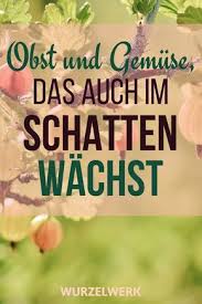 43 Krauter Obst Und Gemusepflanzen Die Auch Im Schatten Wachsen Wurzelwerk Schattenpflanzen Garten Garten Schattengarten