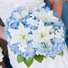 tps_headerhydrangeas are a popular wedding day bloom, and we can totally see why. Blue Hydrangeas And White Lily Bouquet White Lily Bouquet Wedding Bouquets Flower Bouquet Wedding