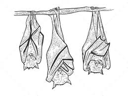 Pin On Graphics Designs Infographic