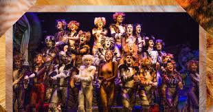 Find the perfect cats on broadway cast photo call stock photos and editorial news pictures from getty images. Is Cats A Good Broadway Gig Three Former Cats Weigh In