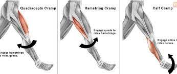 What Causes Those Nasty Muscle Cramps? - Reactive