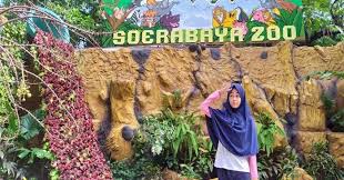 Kebun binatang surabaya atau kbs merupakan bonbin yang paling terkenal dengan lengkapnya satwa. Kebun Binatang Surabaya Kbs Segera Dibuka Pengunjung Tertentu Tidak Boleh Masuk Kbs Kabar Surabaya