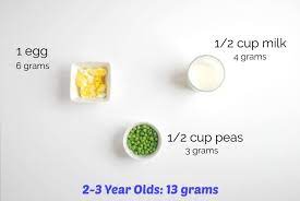 Here S How Much Protein Your Child Needs