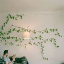 English Ivy Is Best For Indoor Air Purifying Loves The Shade And Will Climb Walls Wall Climbing Plants Indoor Vines Indoor Climbing Plants